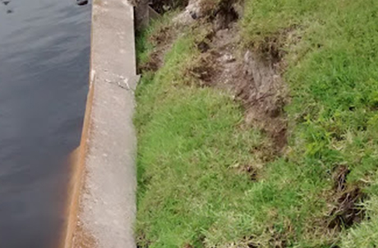 Seawall repair