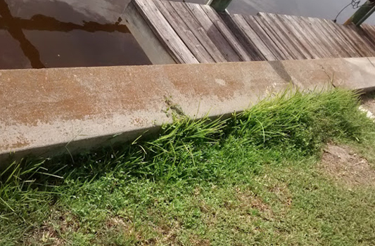 Seawall repair